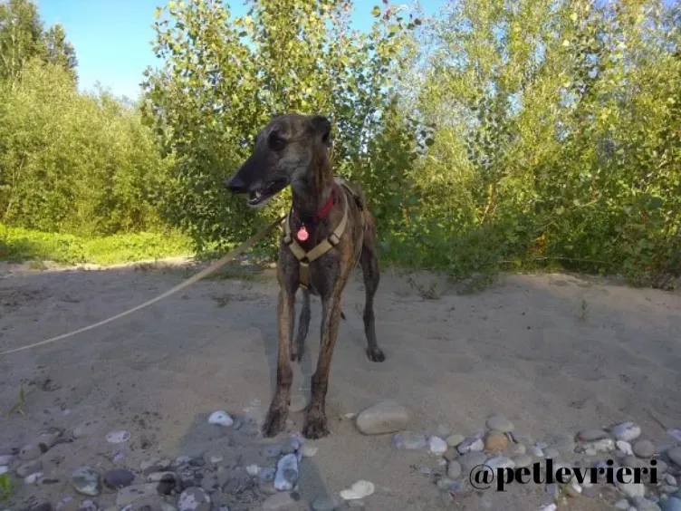 FD72571E D89E 456E 9168 FA578A42BFBA