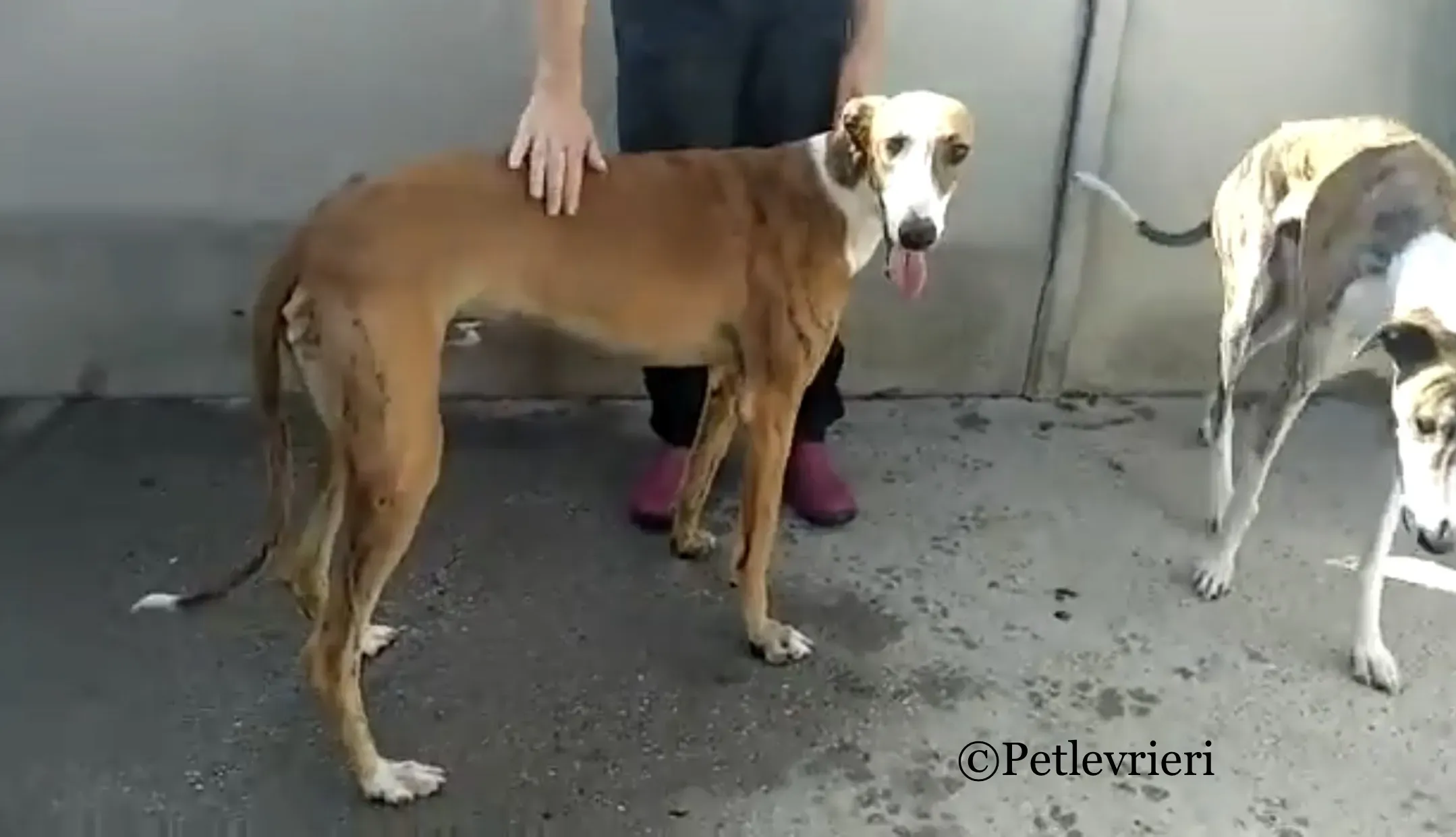 FD822A99 DFBC 49B8 A26B 3966F1631FA4