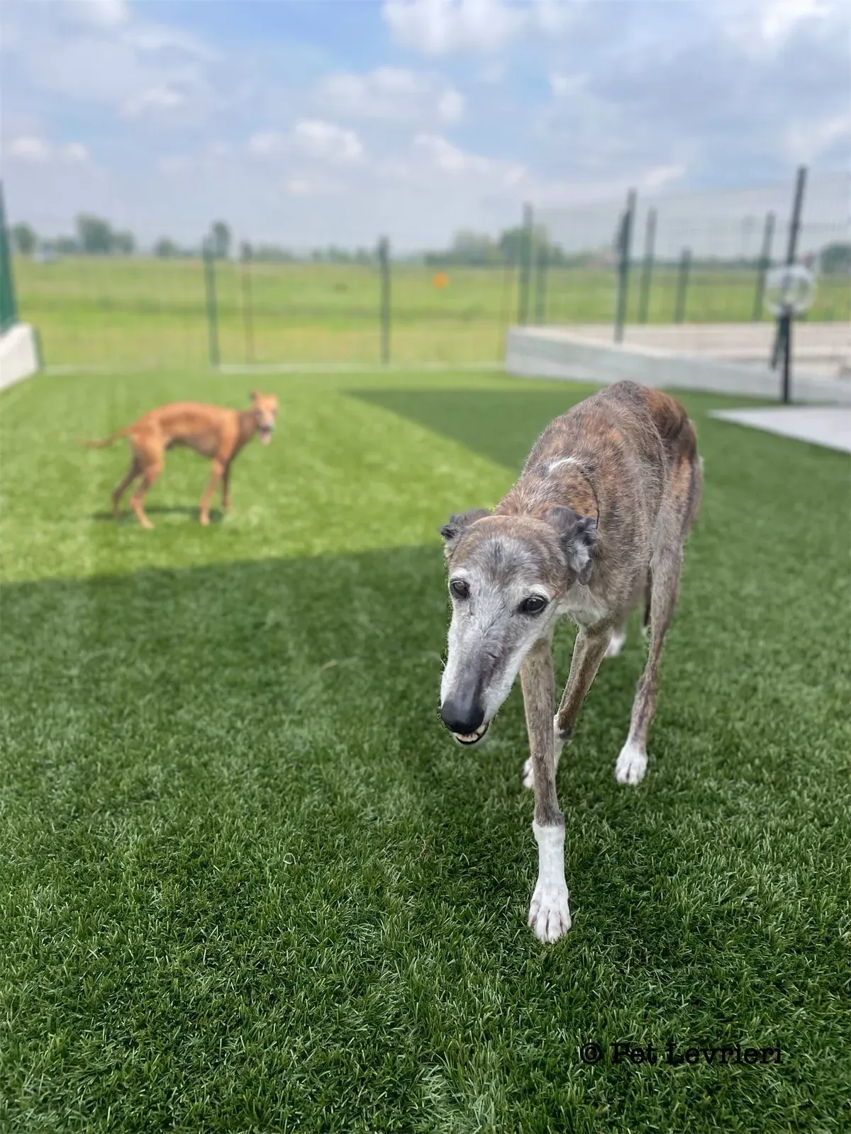 FEBE9CD5 A75D 46C3 8C0C DA04CFD4DD4C