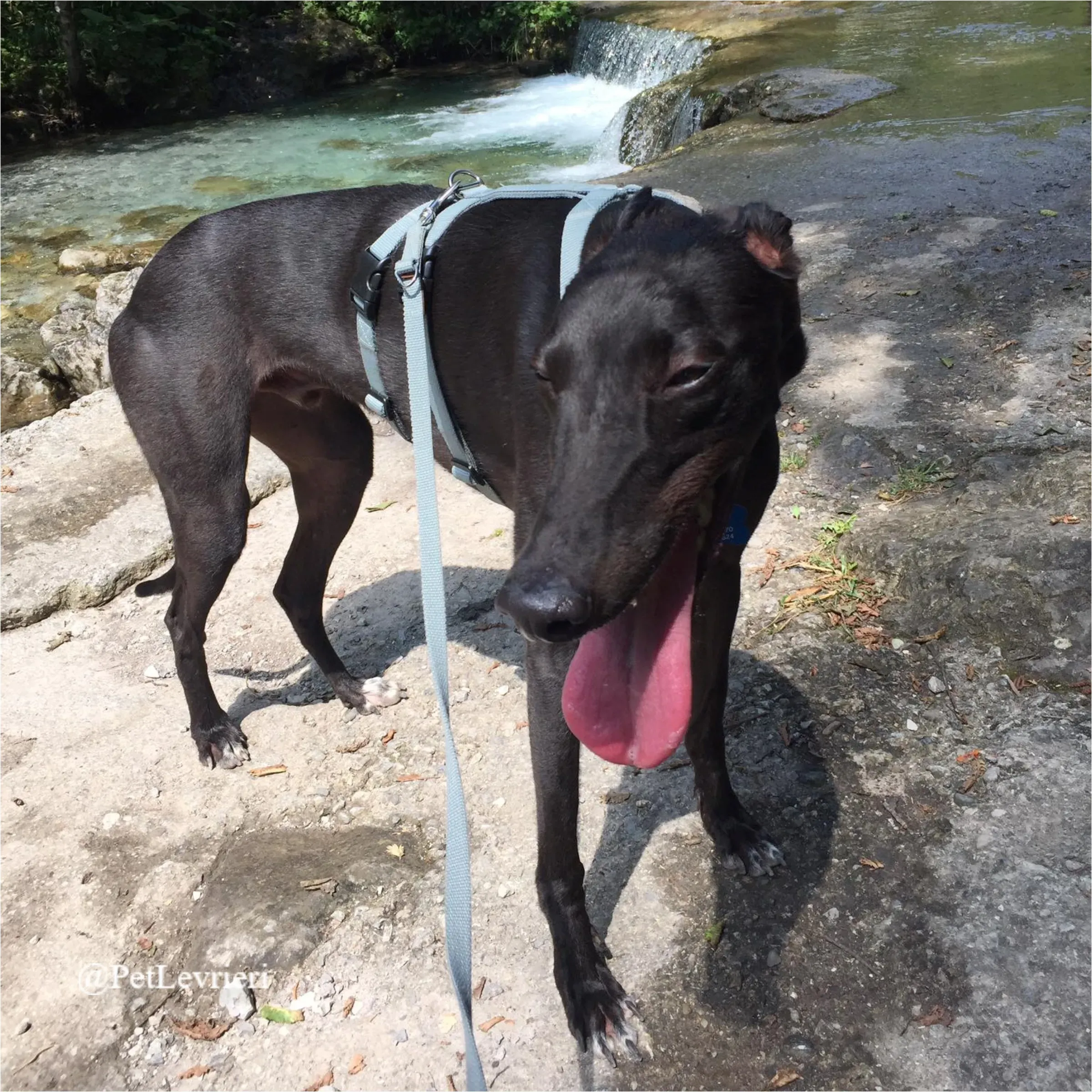 FEL11New Phototastic Collage