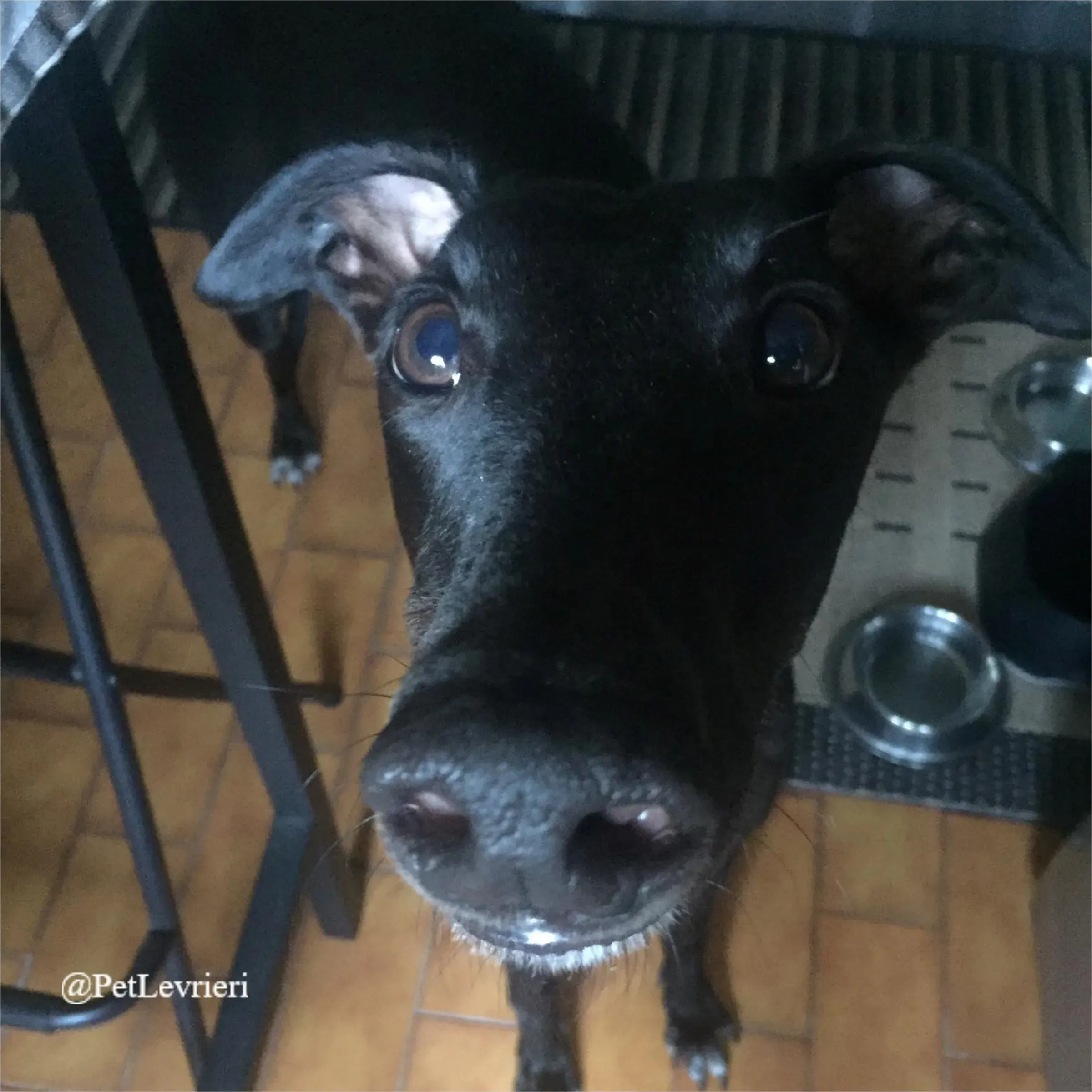 FEL12New Phototastic Collage