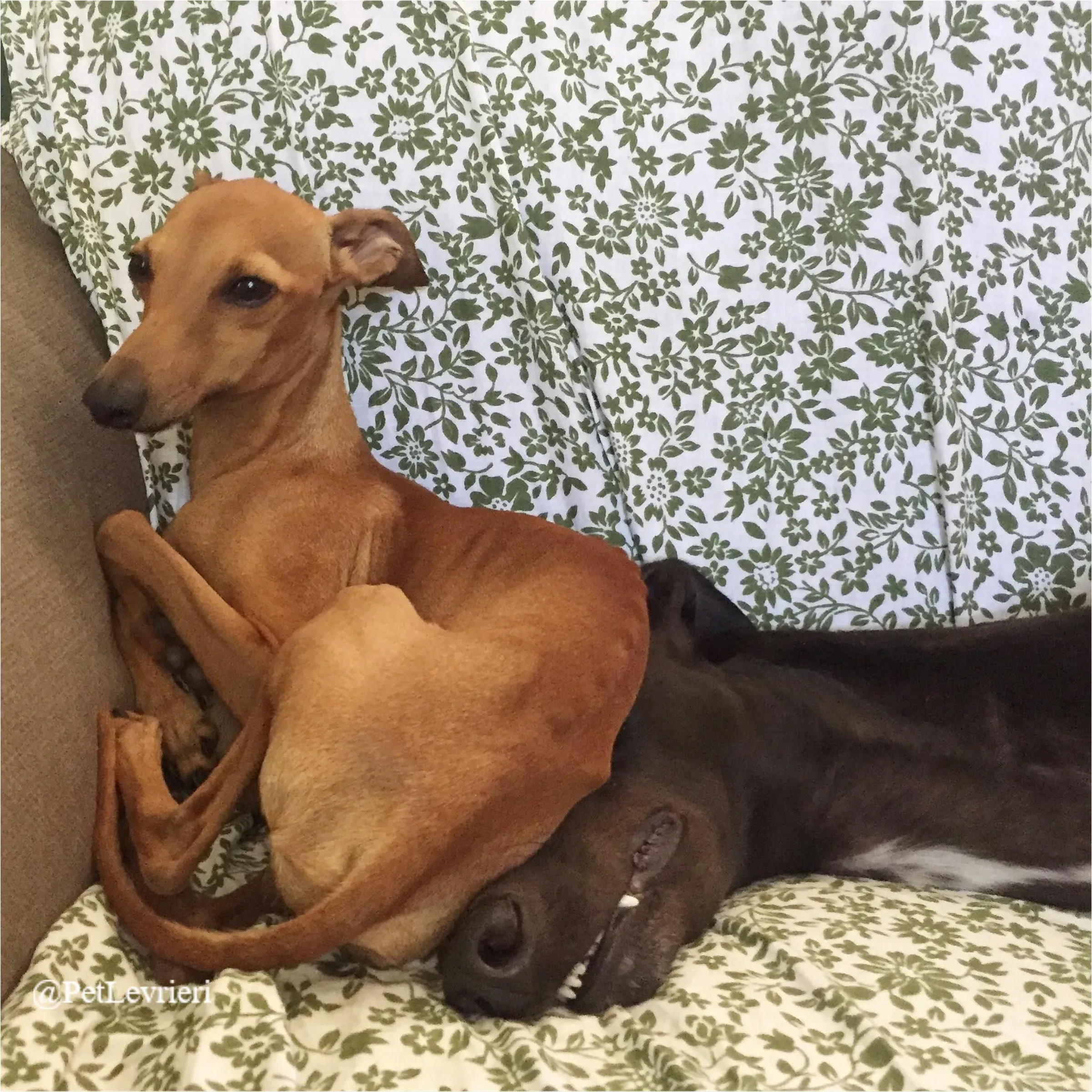 FEL13New Phototastic Collage