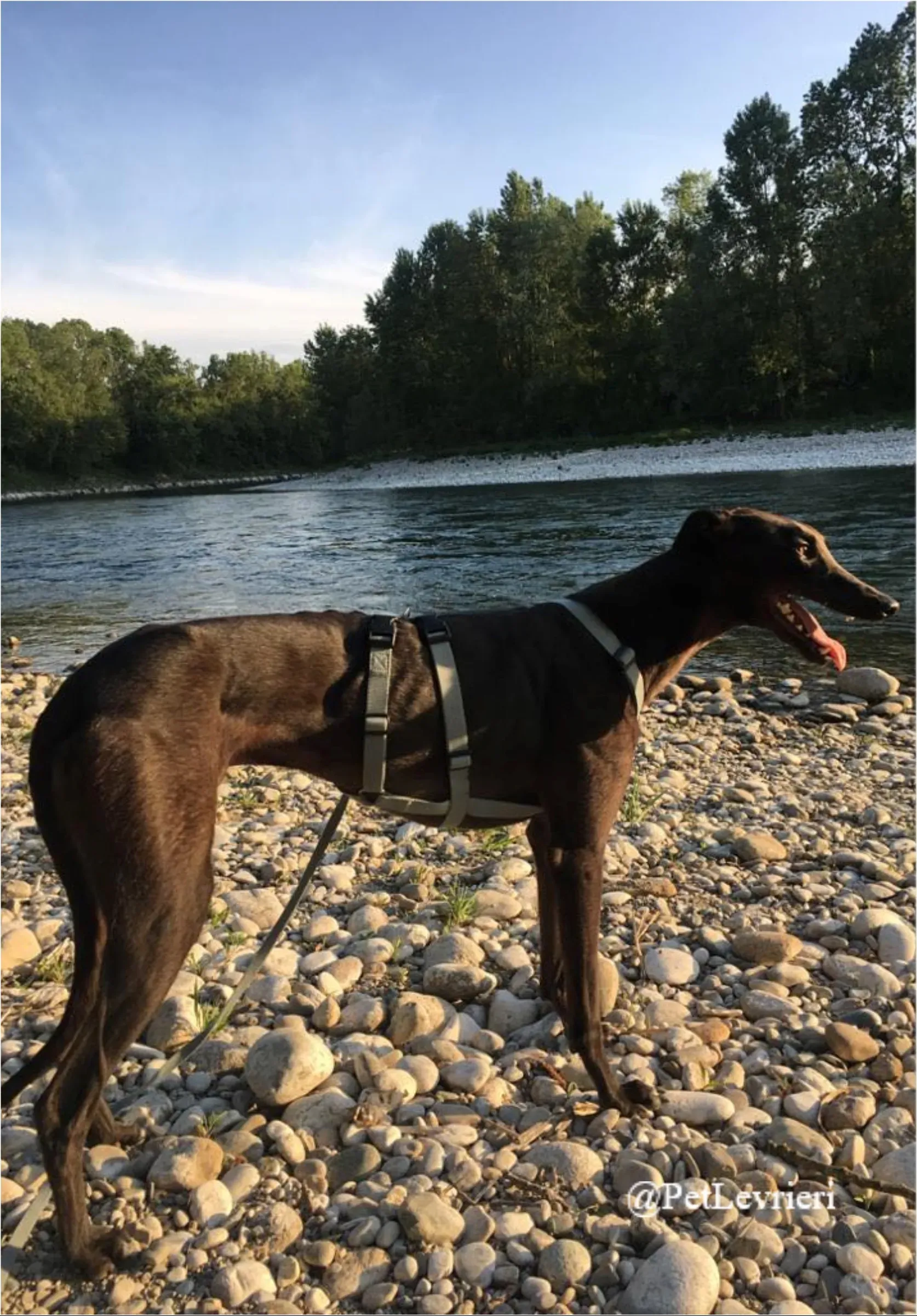 FEL15New Phototastic Collage