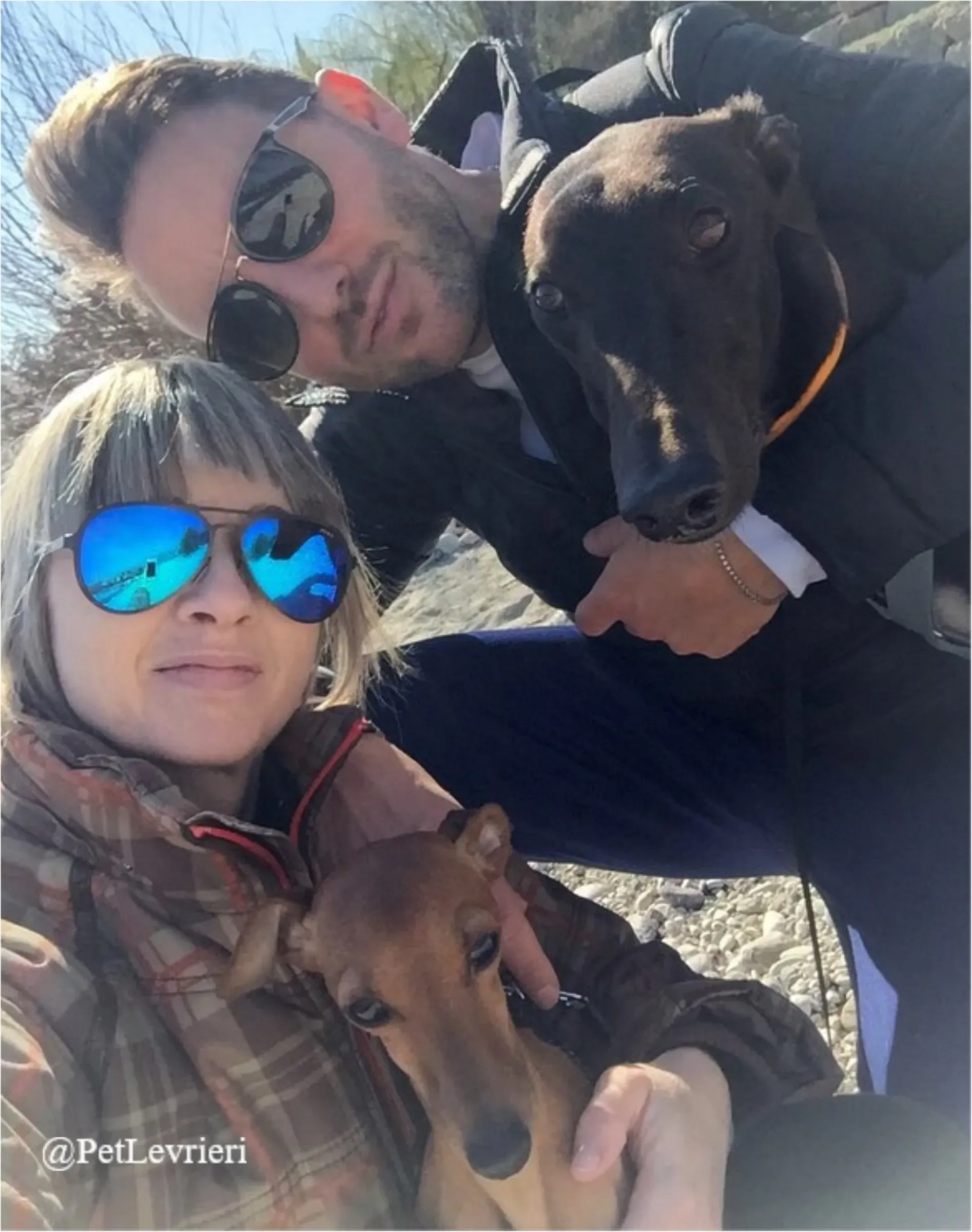 FEL1New Phototastic Collage 1