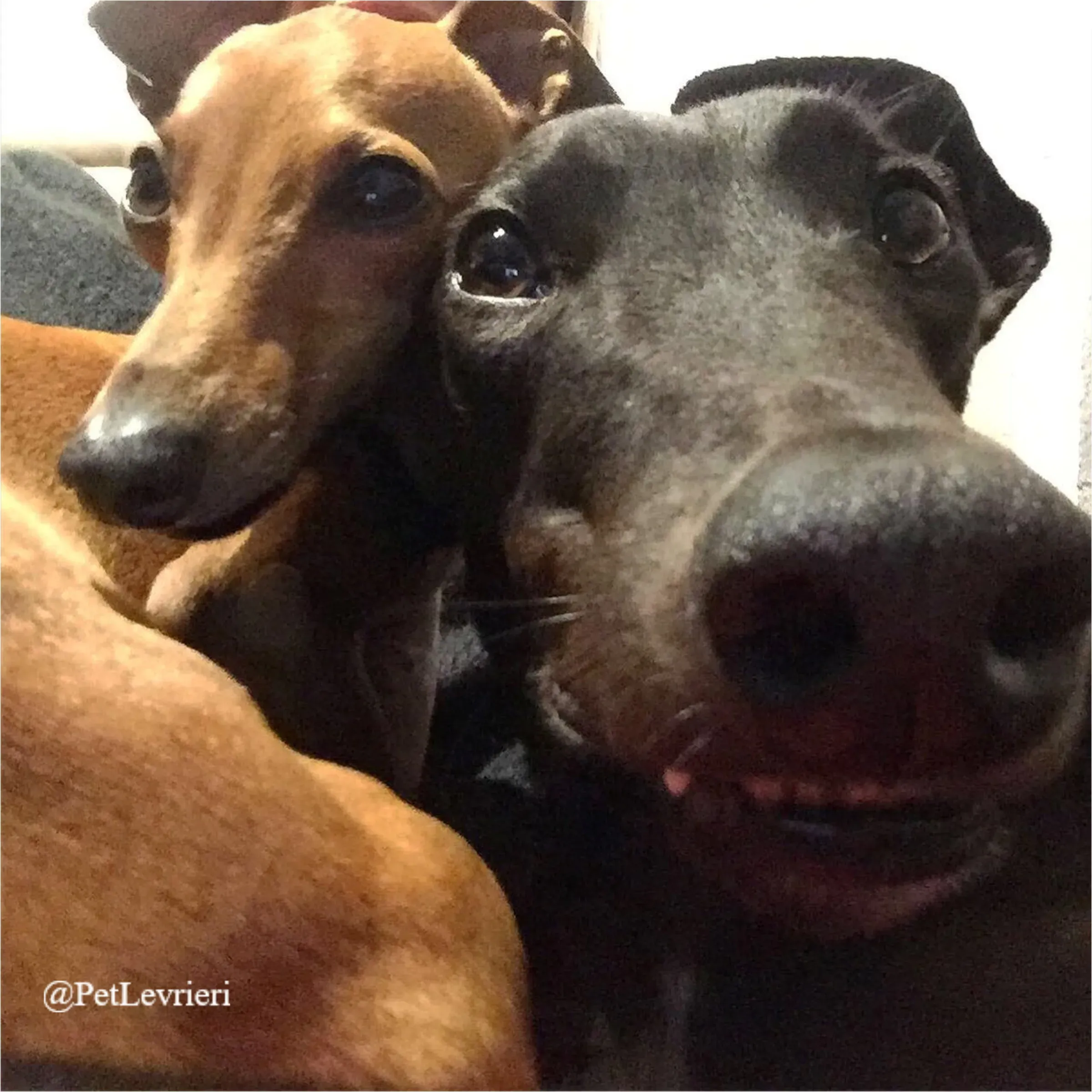 FEL5New Phototastic Collage