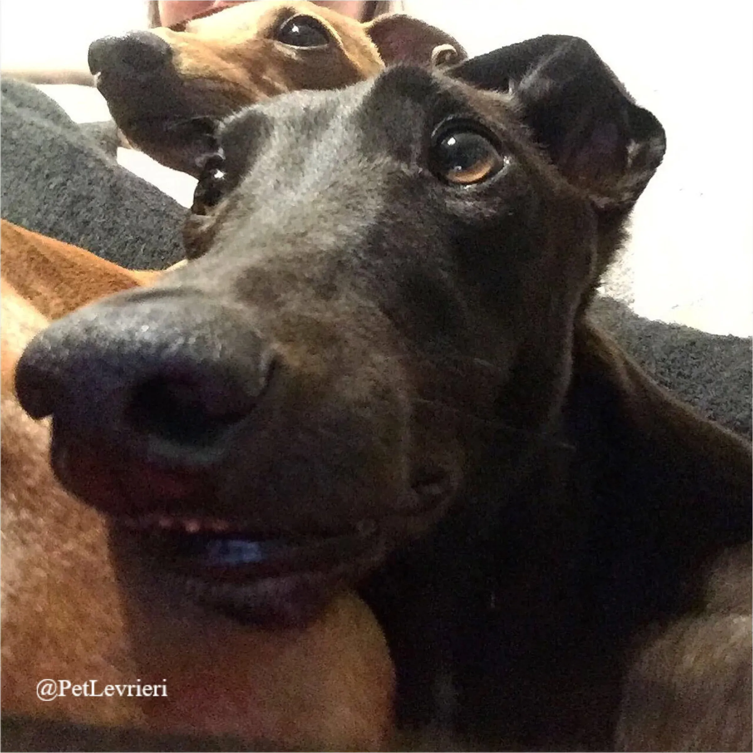 FEL6New Phototastic Collage