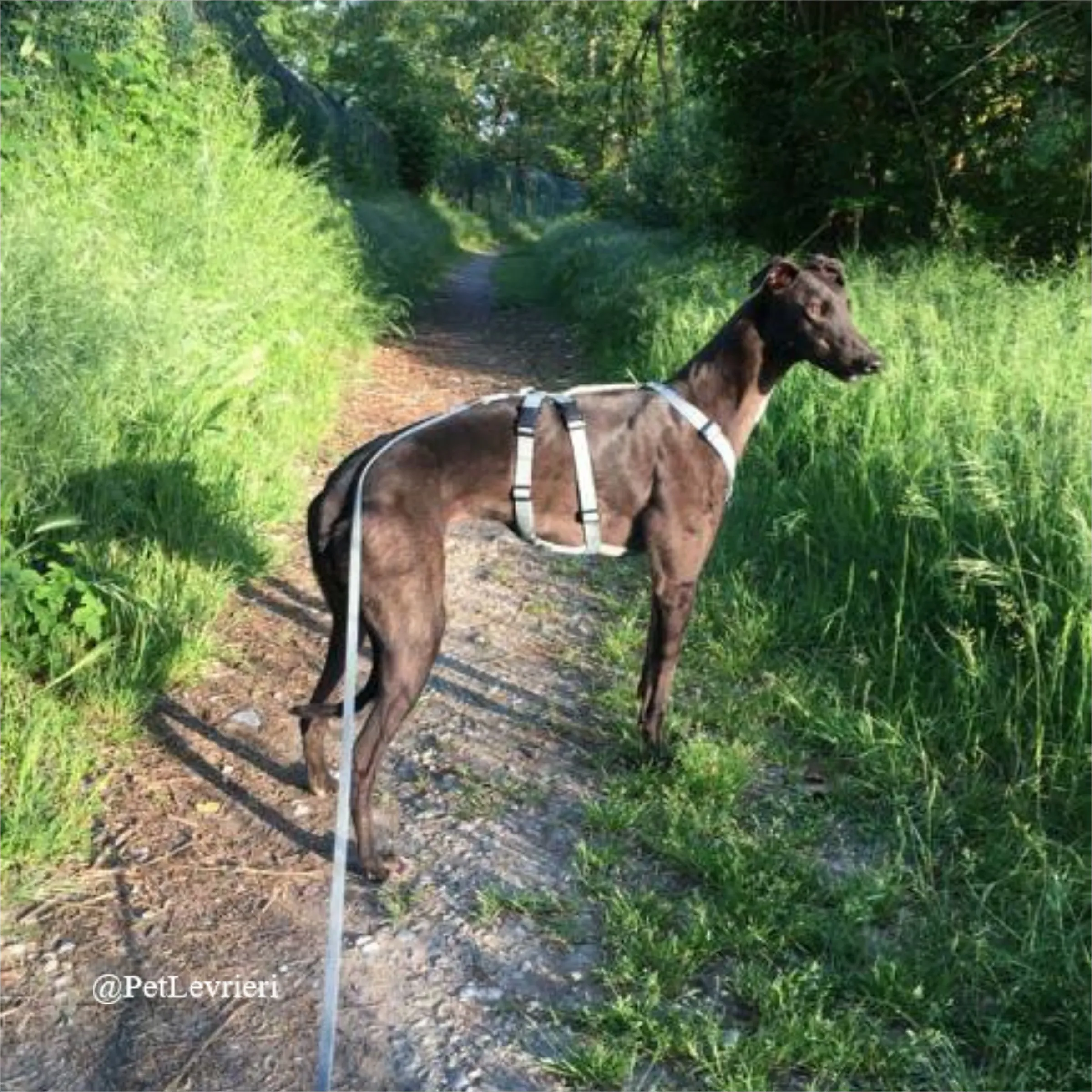 FEL7New Phototastic Collage