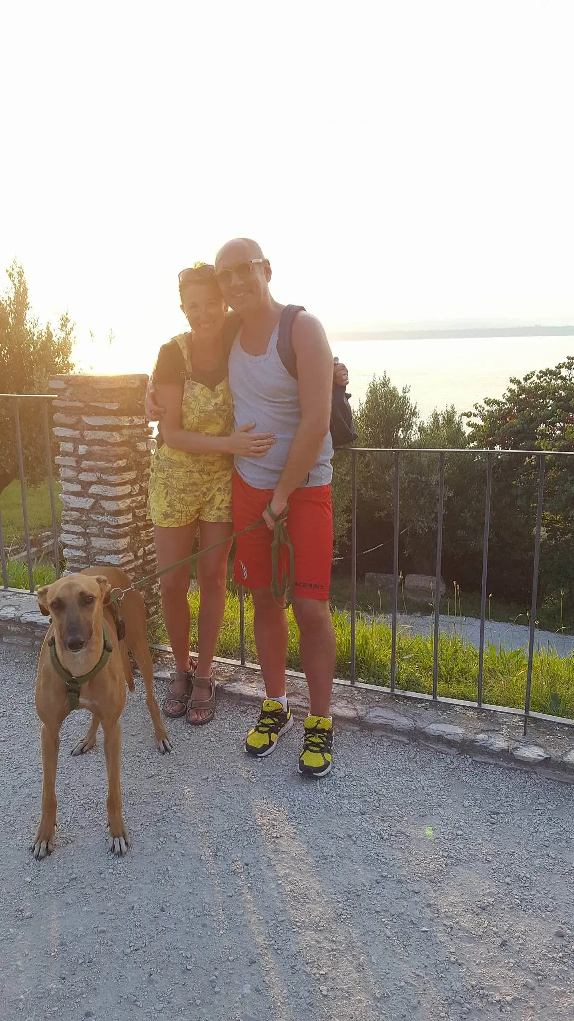 FELICI A CASA ALBERT1 3