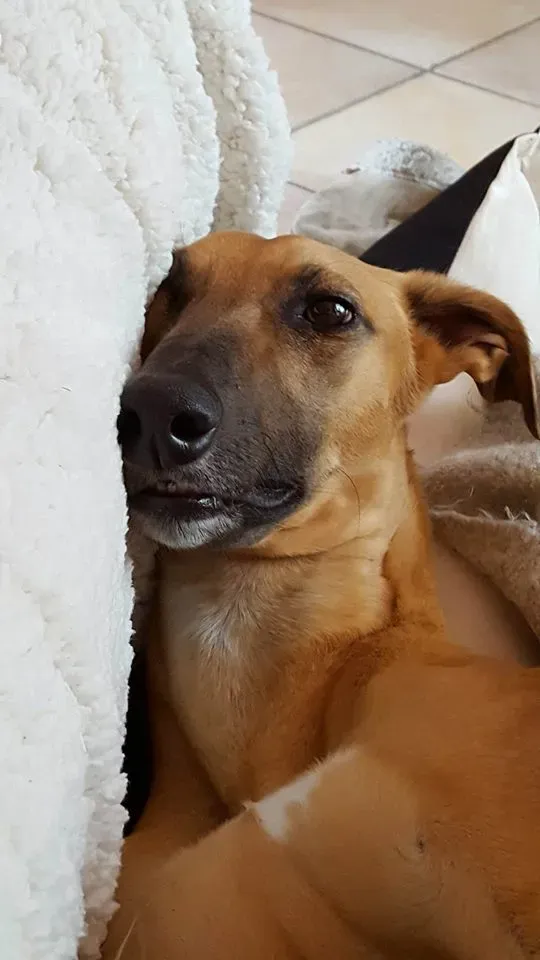 FELICI A CASA ALBERT11 2