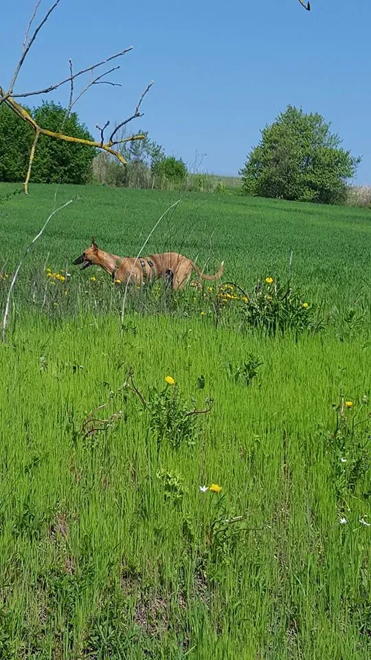 FELICI A CASA ALBERT12 2