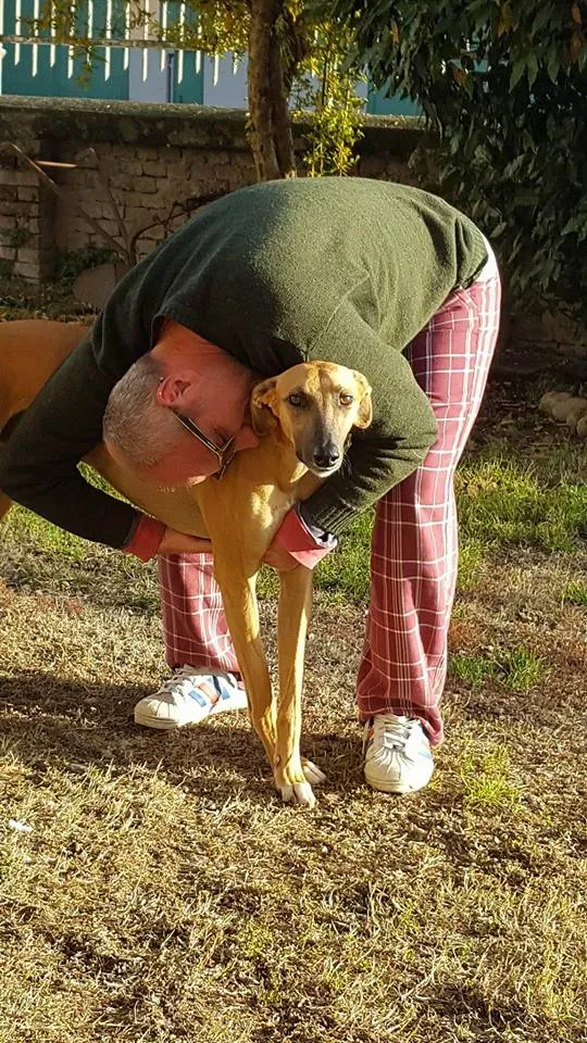 FELICI A CASA ALBERT14 2