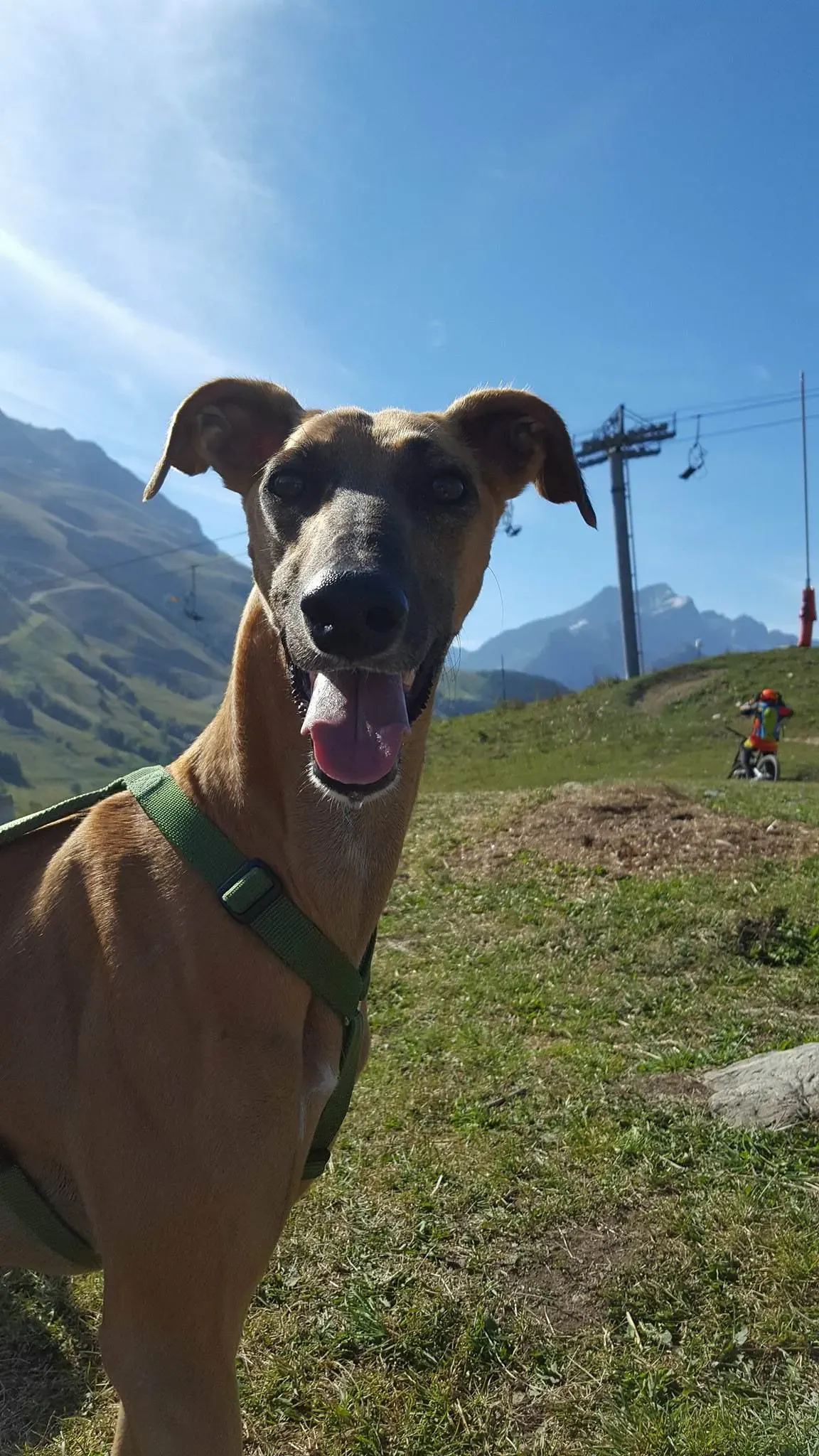 FELICI A CASA ALBERT4 3