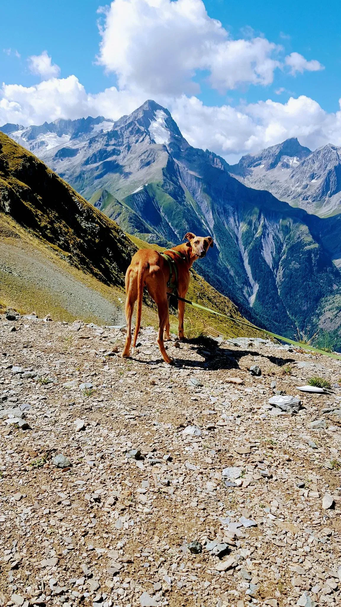 FELICI A CASA ALBERT5 3