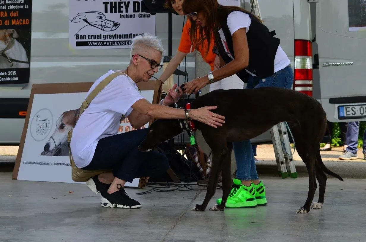 FELICI A CASA BONO1 1