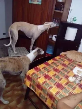 FELICI A CASA CABALLERO