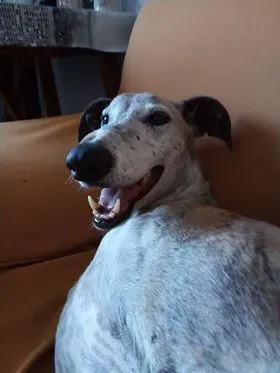 FELICI A CASA CABALLERO2