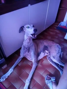 FELICI A CASA CABALLERO5