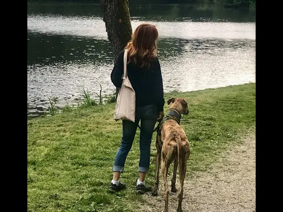 FELICI A CASA DANTE 8