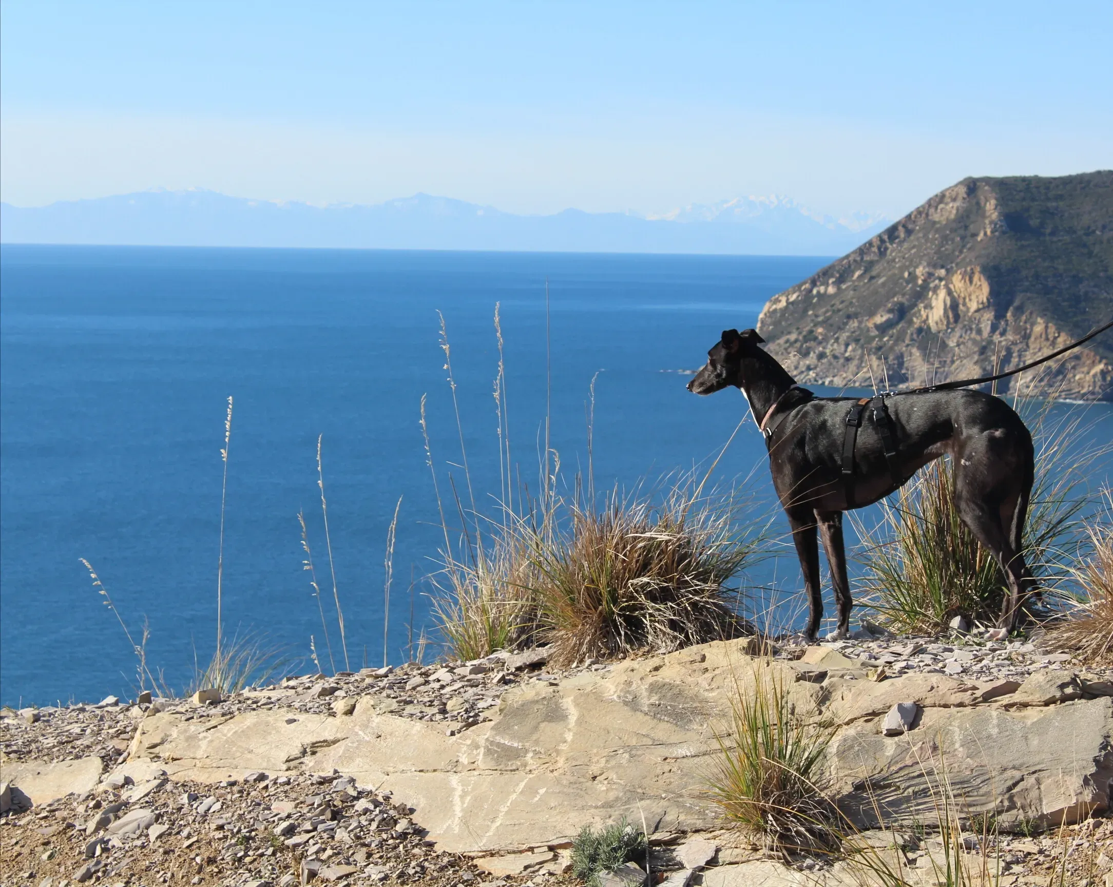 FELICI A CASA DELIA2