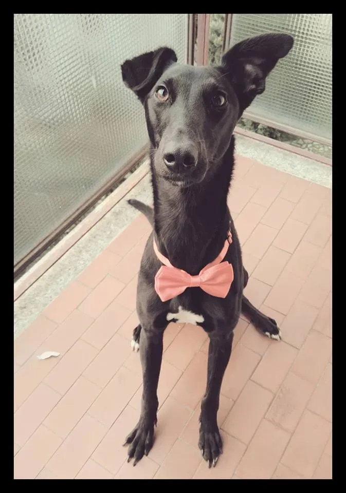 FELICI A CASA ELISABETTA