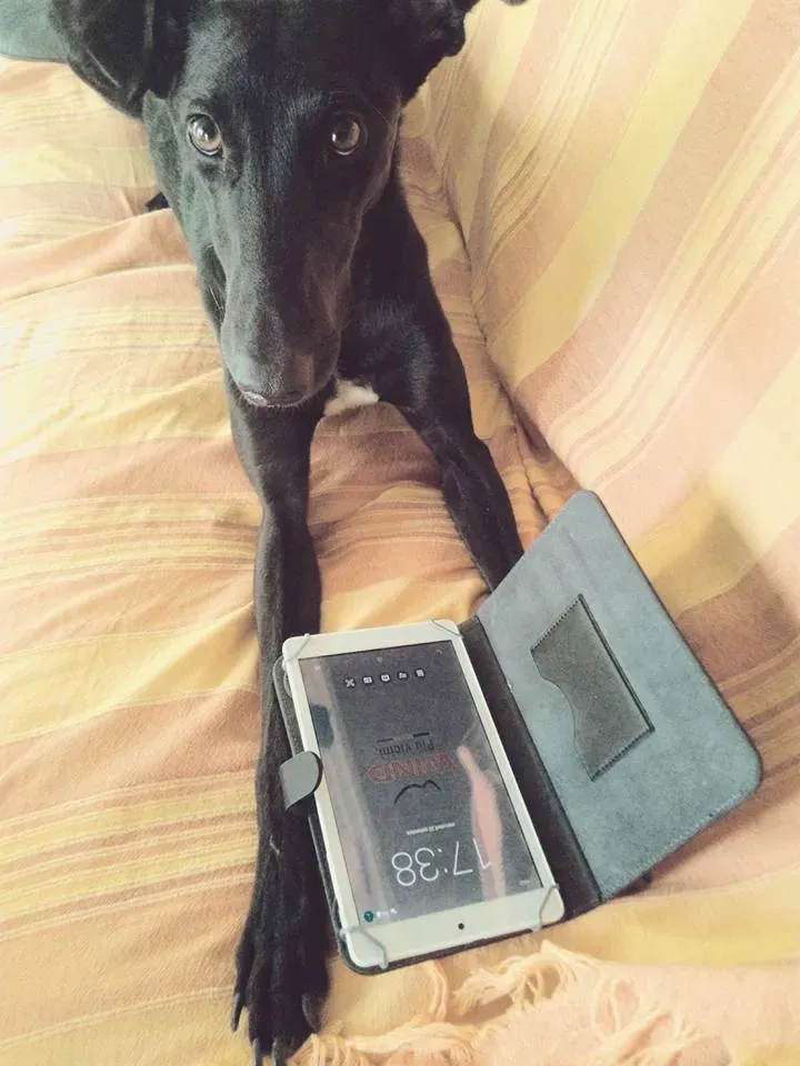 FELICI A CASA ELISABETTA1