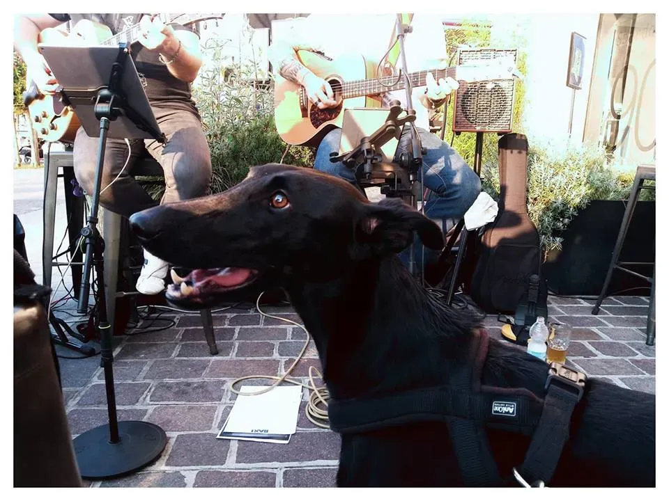 FELICI A CASA ELISABETTA10