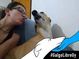 FELICI A CASA ELISABETTA11