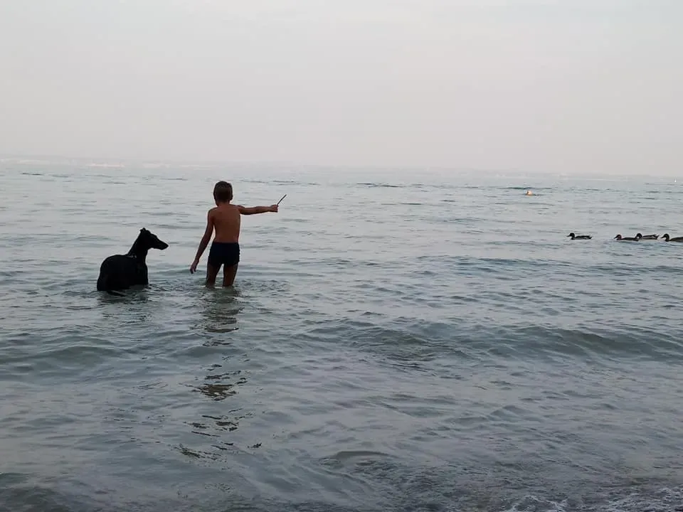 FELICI A CASA ELISABETTA13