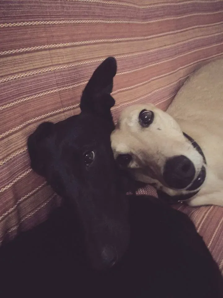 FELICI A CASA ELISABETTA2