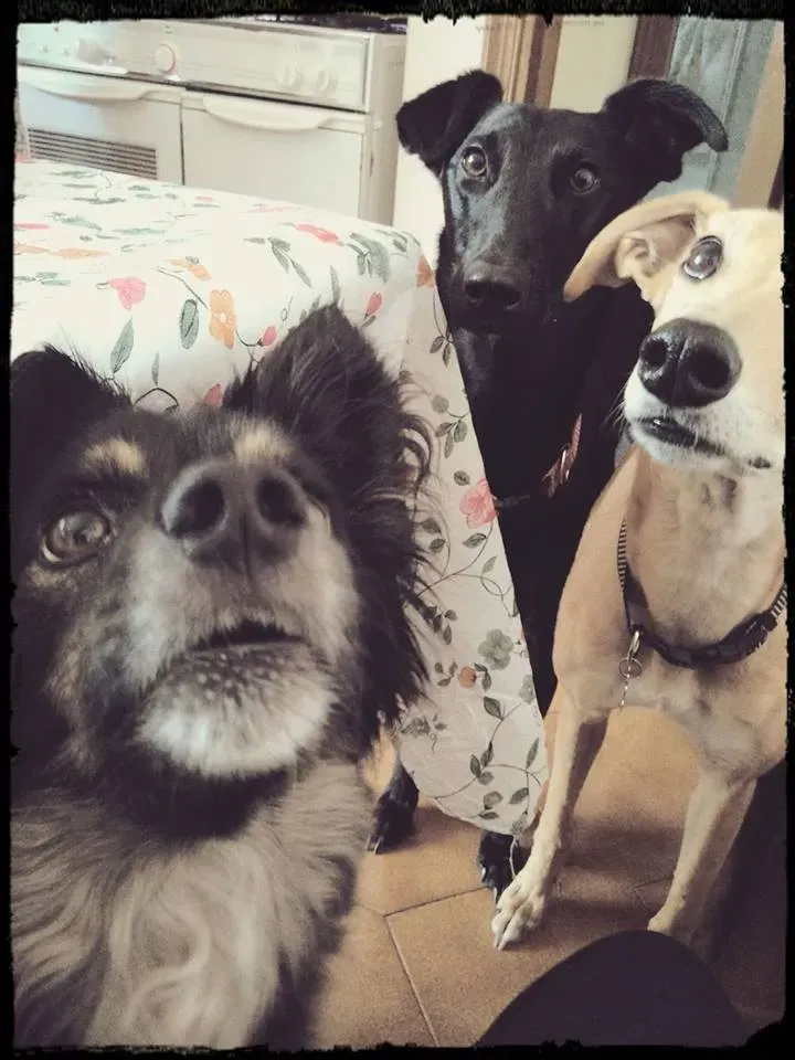 FELICI A CASA ELISABETTA5