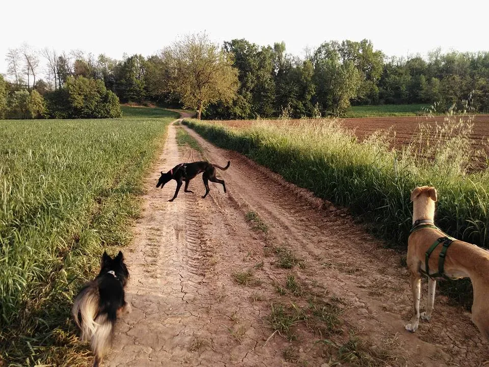 FELICI A CASA ELISABETTA6