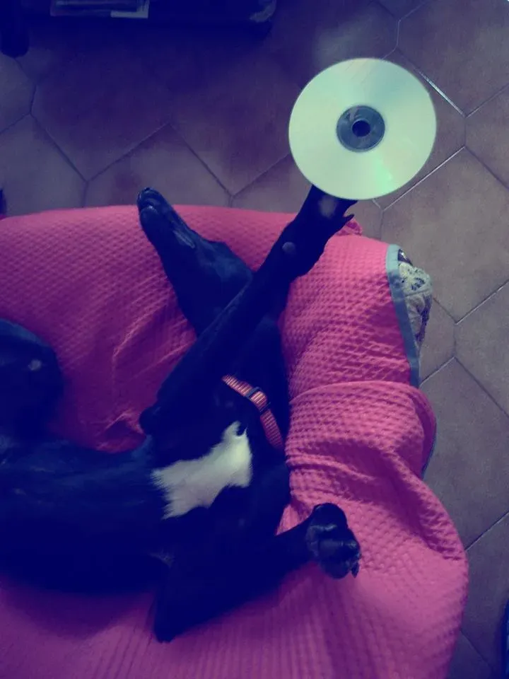 FELICI A CASA ELISABETTA8