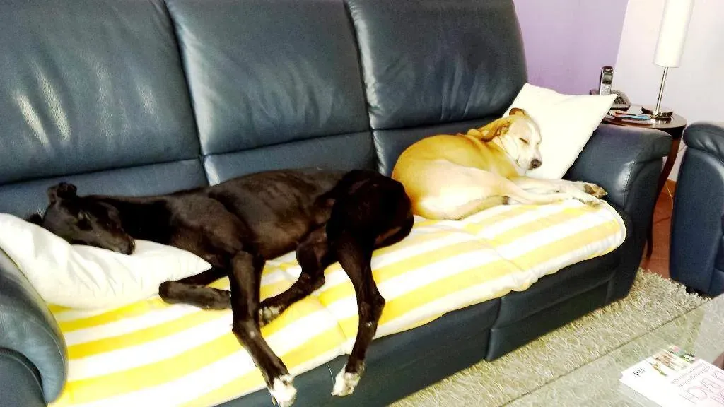 FELICI A CASA GIADA E CAMILLA 1