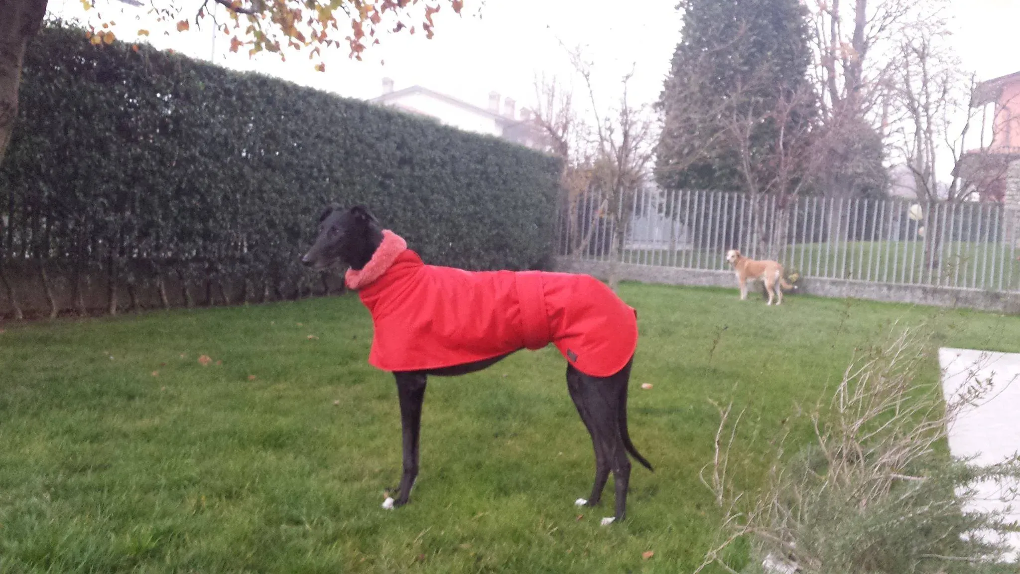 FELICI A CASA GIADA E CAMILLA 3