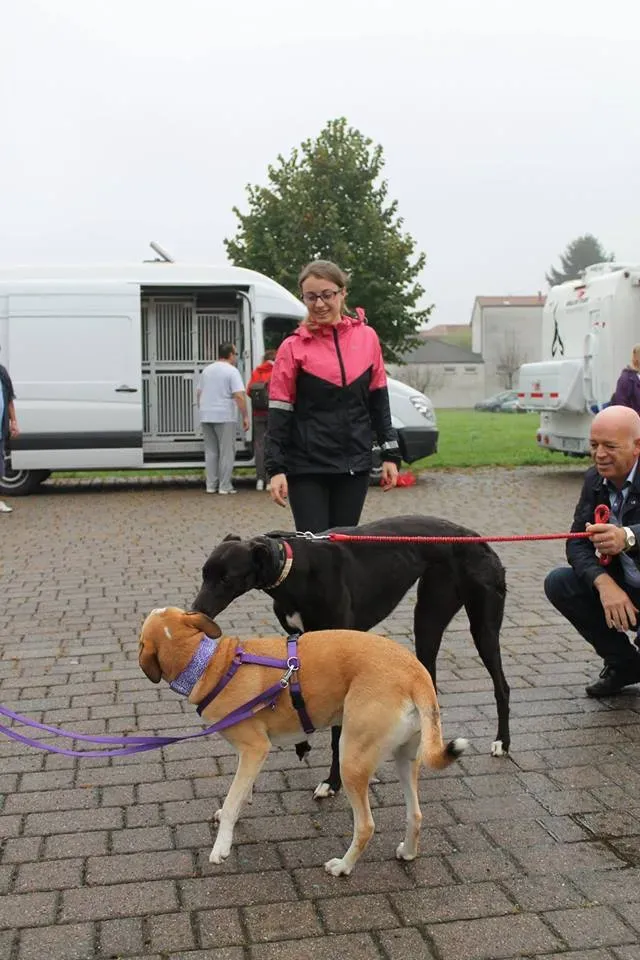 FELICI A CASA GIADA E CAMILLA2