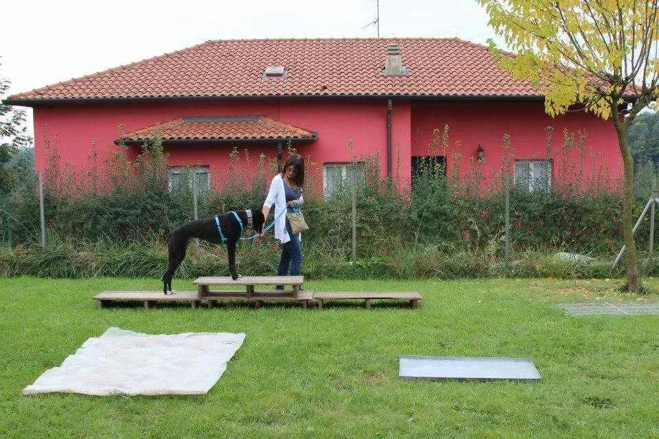 FELICI A CASA GIADA1