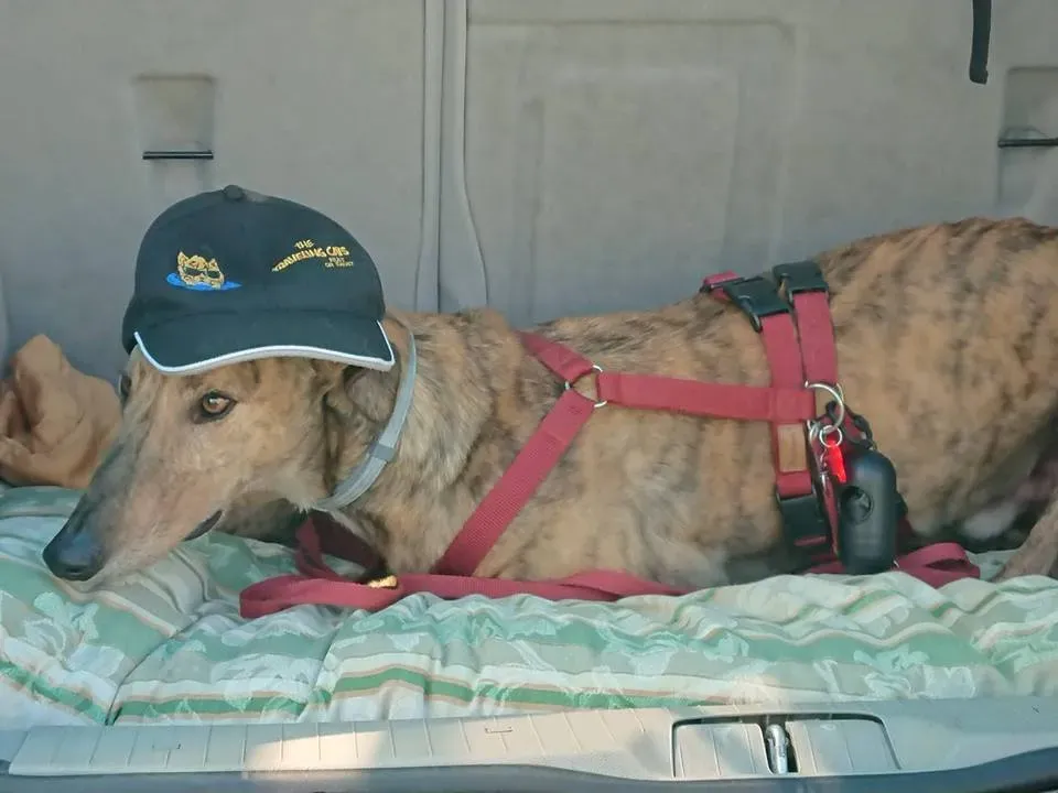 FELICI A CASA JULIA3