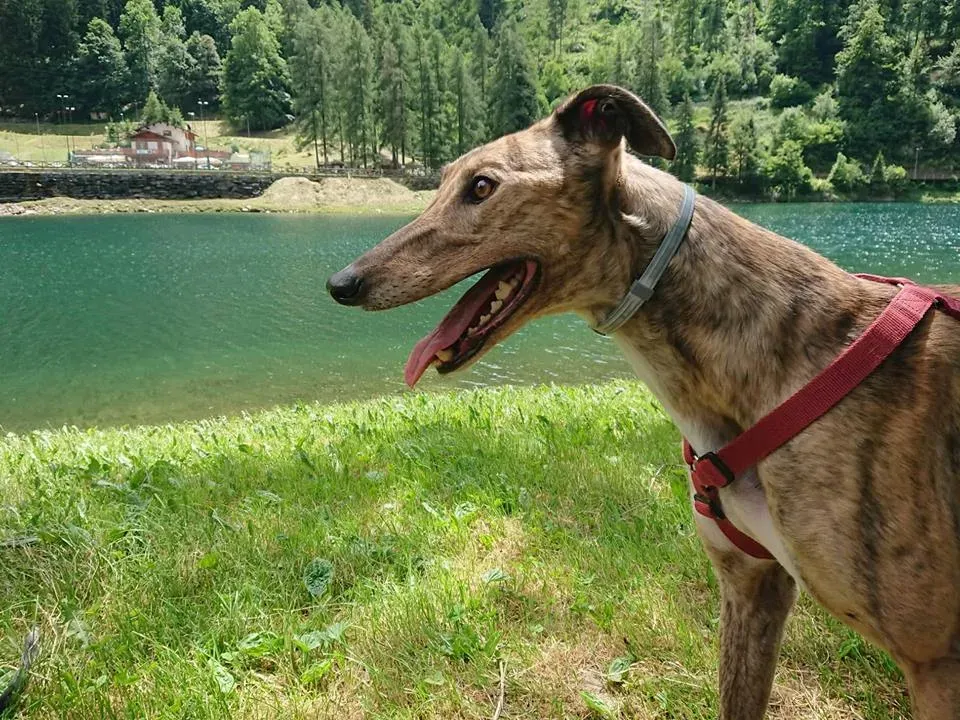 FELICI A CASA JULIAN12