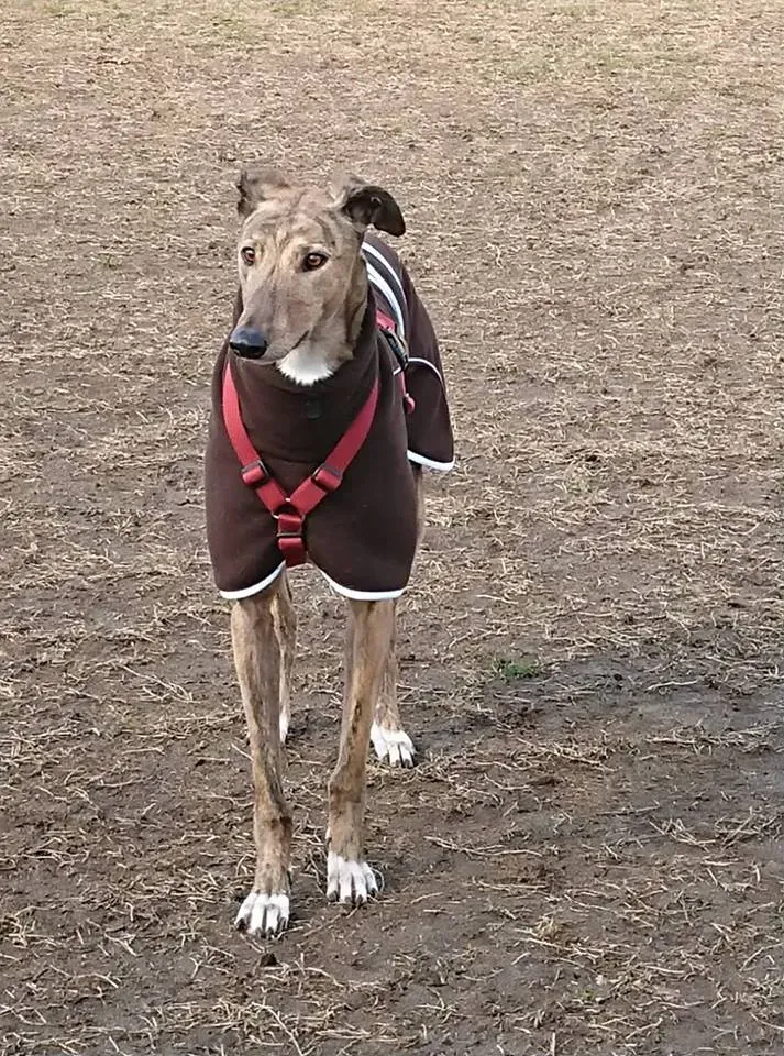 FELICI A CASA JULIAN13