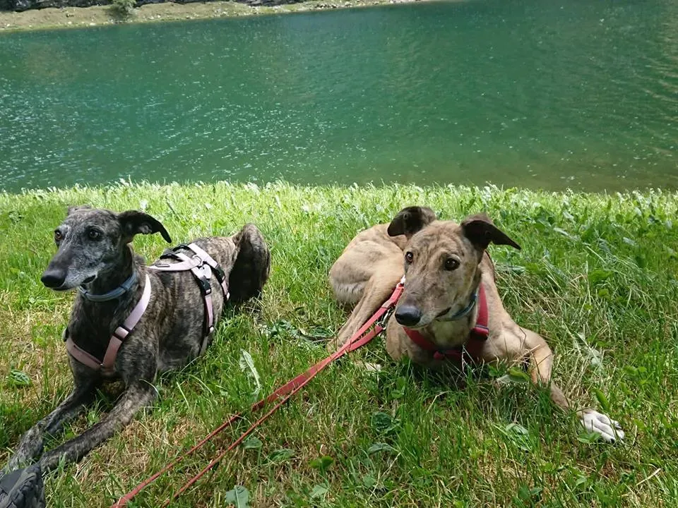 FELICI A CASA JULIAN16