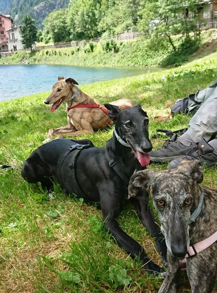 FELICI A CASA JULIAN2