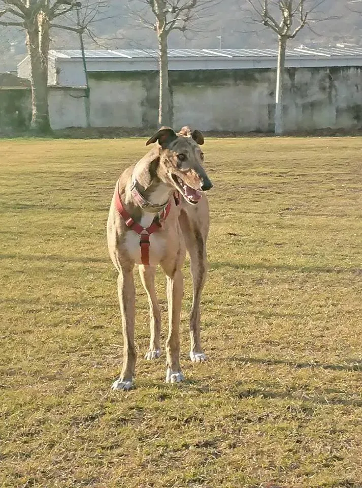 FELICI A CASA JULIAN4