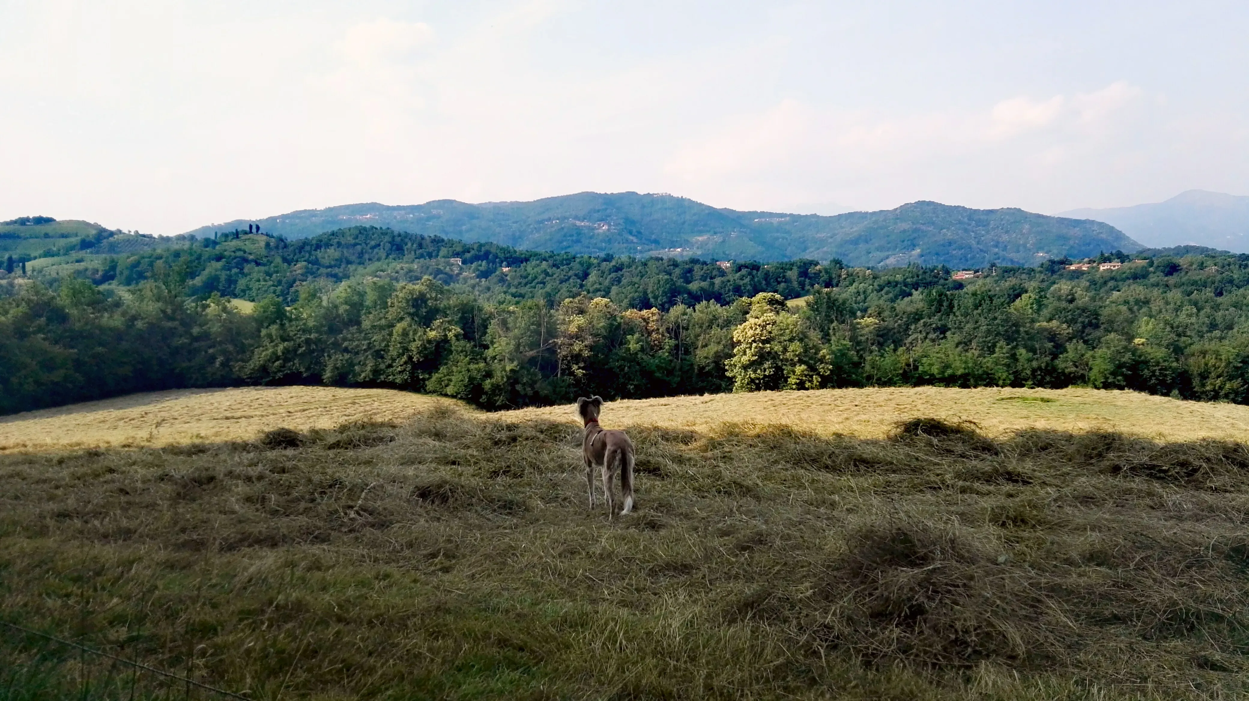 FELICI A CASA KIDA10