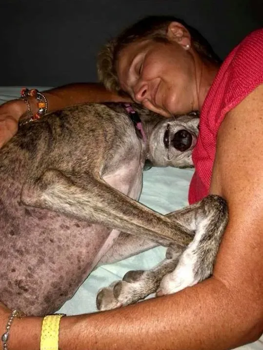 FELICI A CASA MUNECA2 2