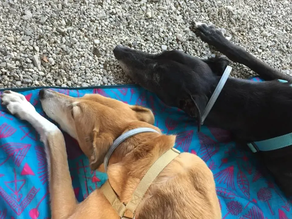 FELICI A CASA MUSIC1