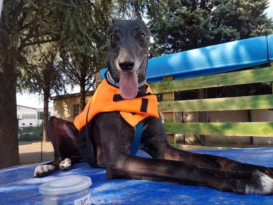 FELICI A CASA MUSIC11