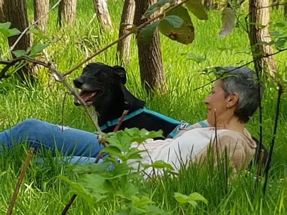 FELICI A CASA MUSIC15