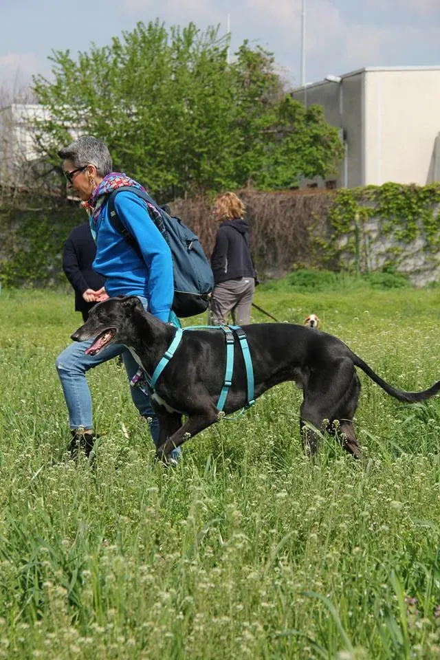 FELICI A CASA MUSIC17