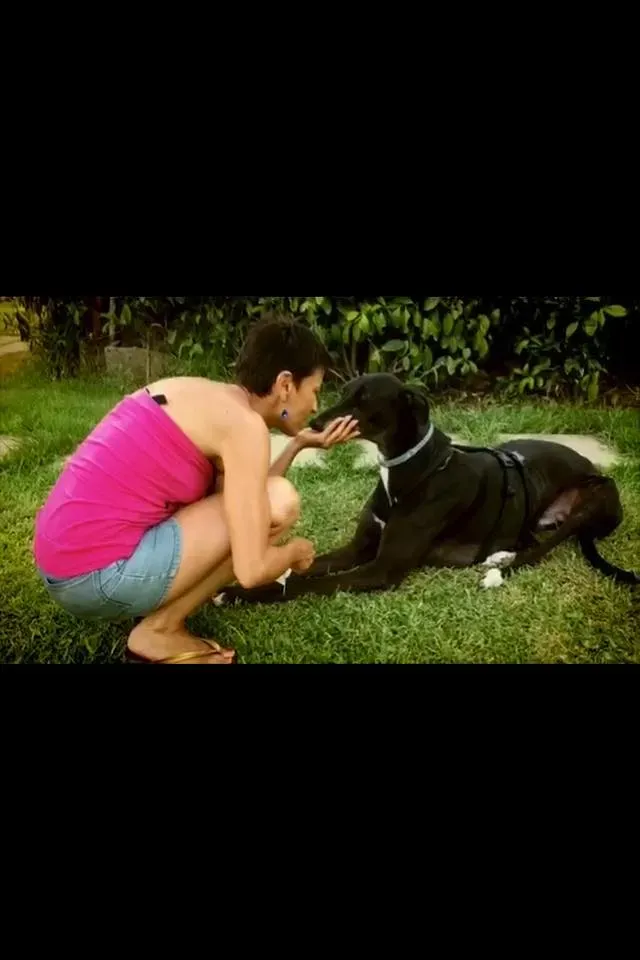 FELICI A CASA MUSIC18