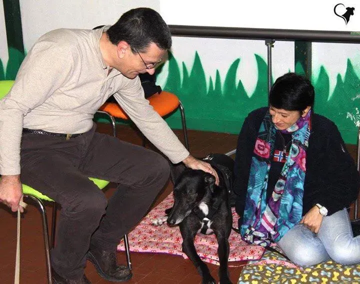 FELICI A CASA MUSIC20